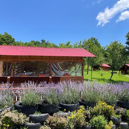 Отель La 3 Stejari, Calimanesti Salatrucel Экстерьер фото