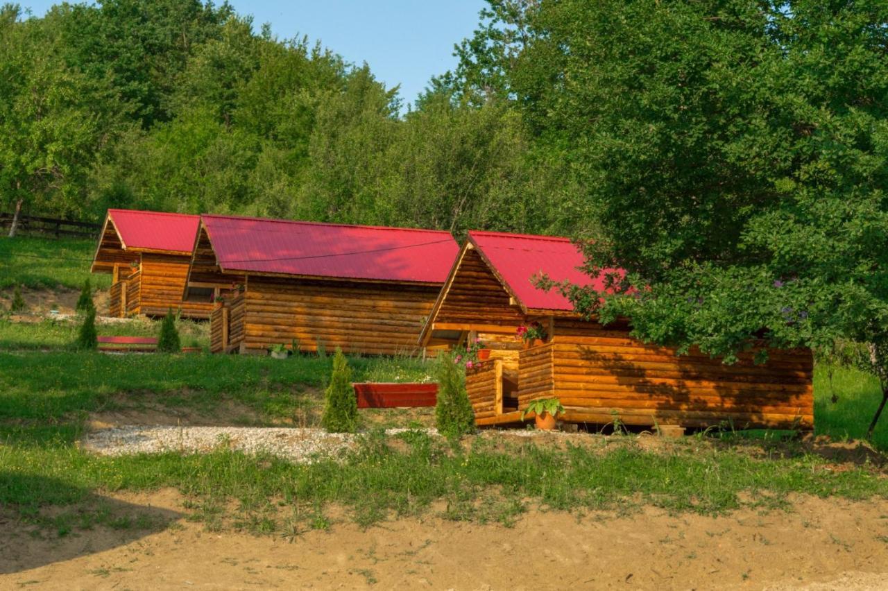 Отель La 3 Stejari, Calimanesti Salatrucel Экстерьер фото