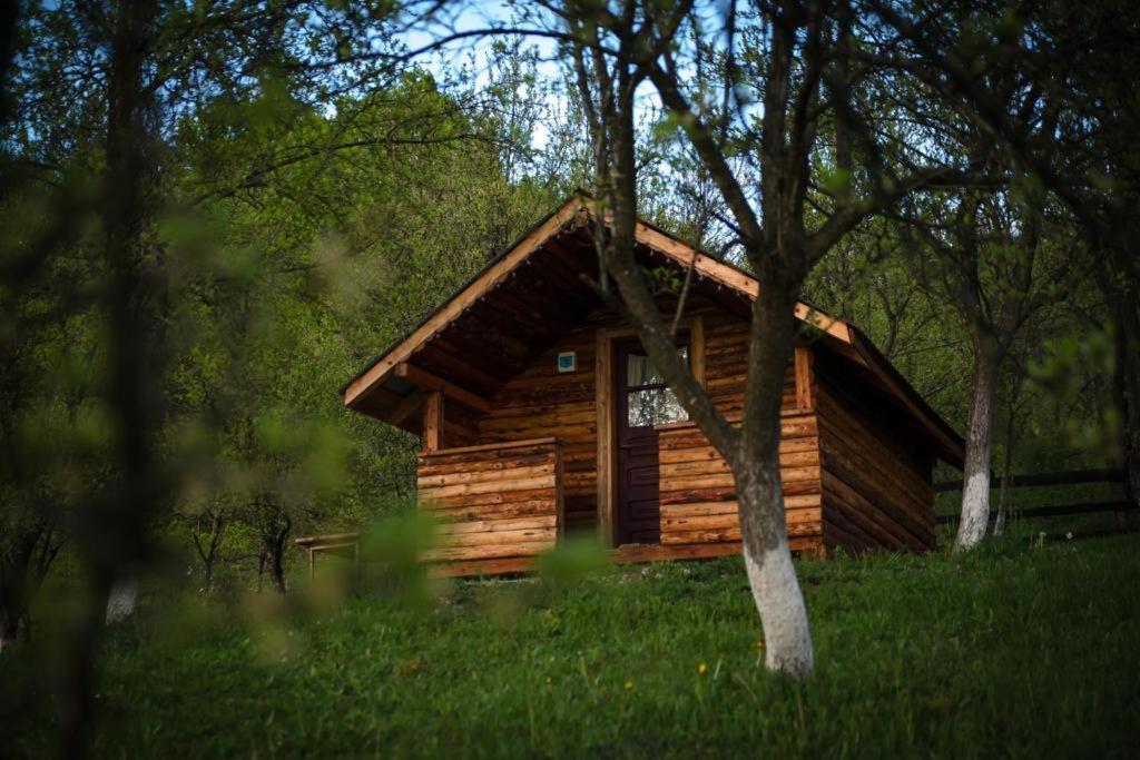 Отель La 3 Stejari, Calimanesti Salatrucel Экстерьер фото