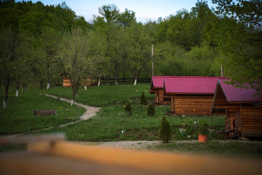 Отель La 3 Stejari, Calimanesti Salatrucel Экстерьер фото