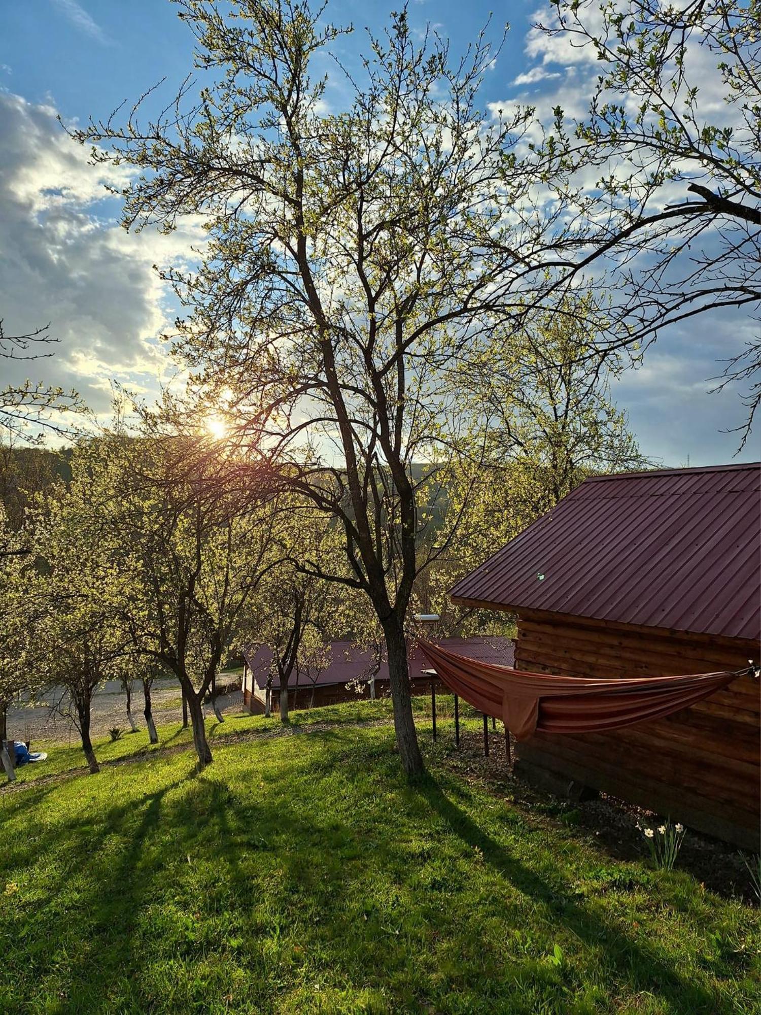 Отель La 3 Stejari, Calimanesti Salatrucel Экстерьер фото